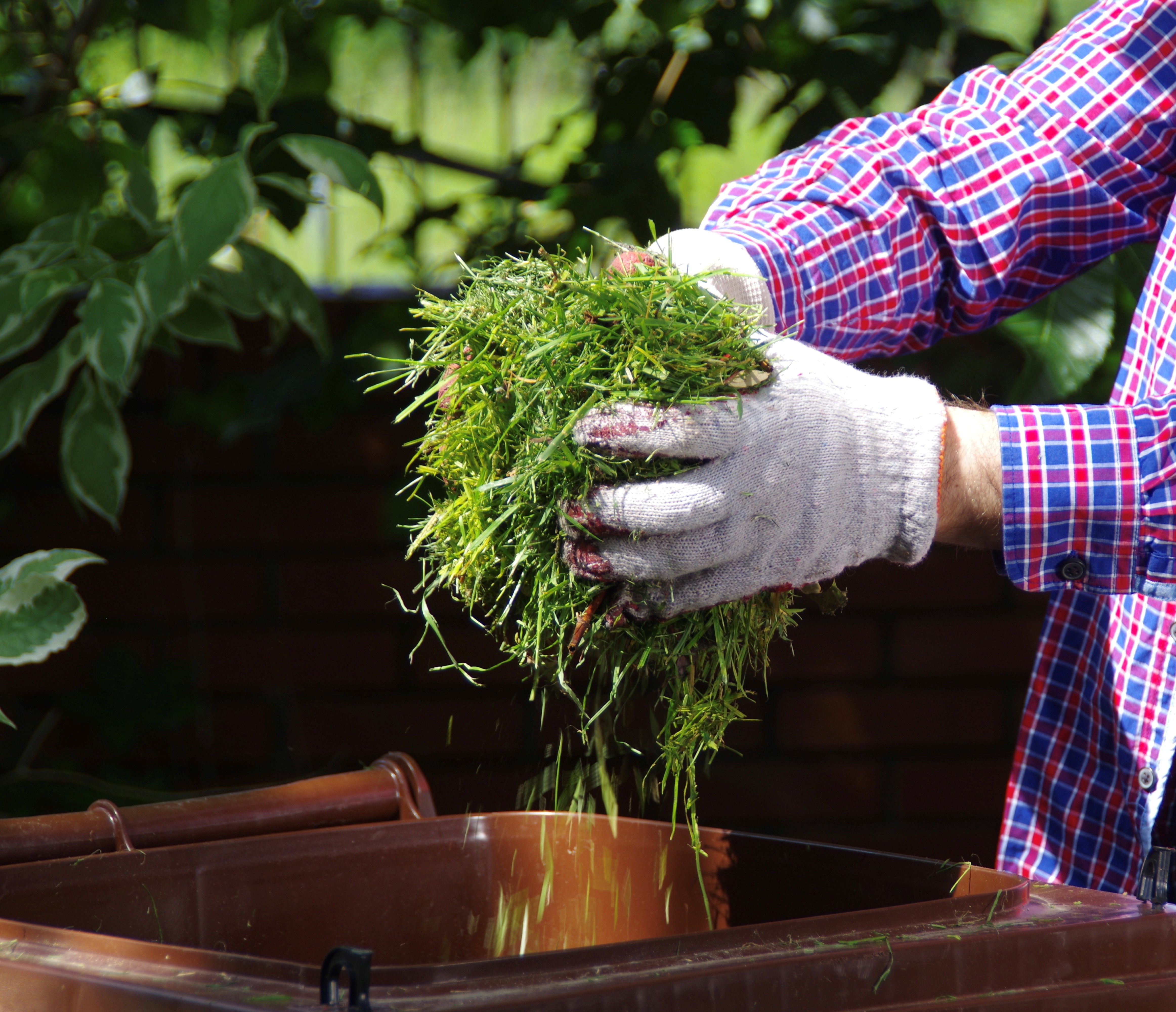 hands putting grass into garden waste bin