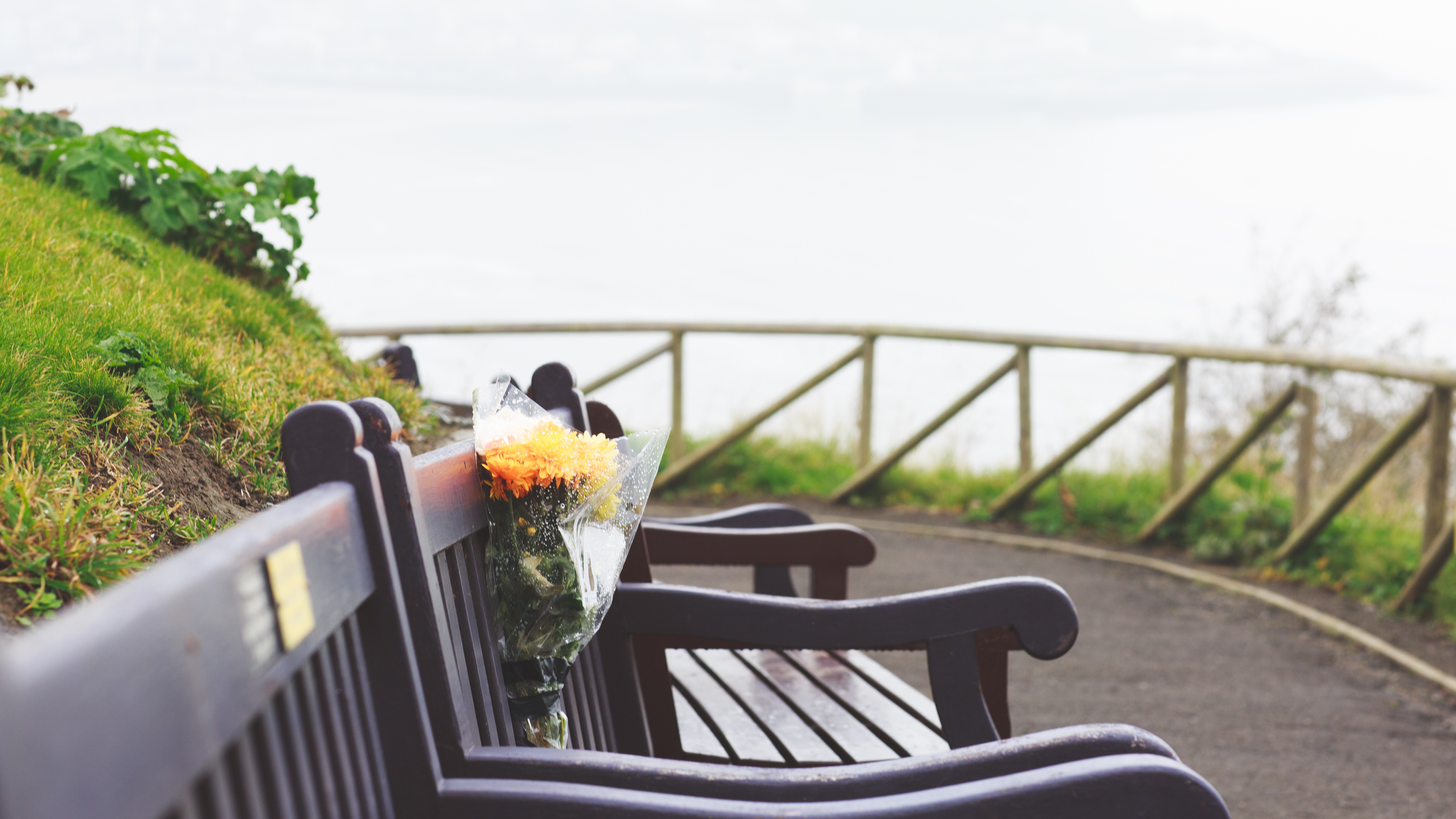 memorial benches on coastline