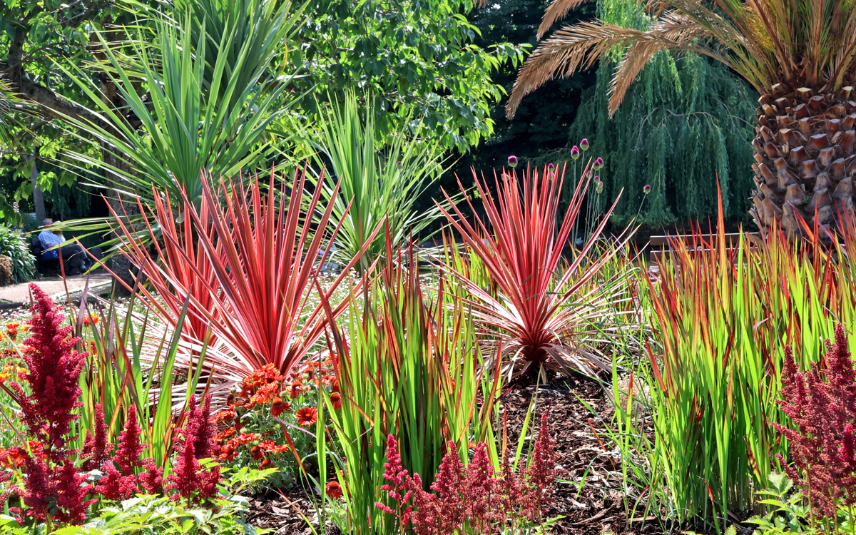 An image of the Rifles Gardens in Torquay