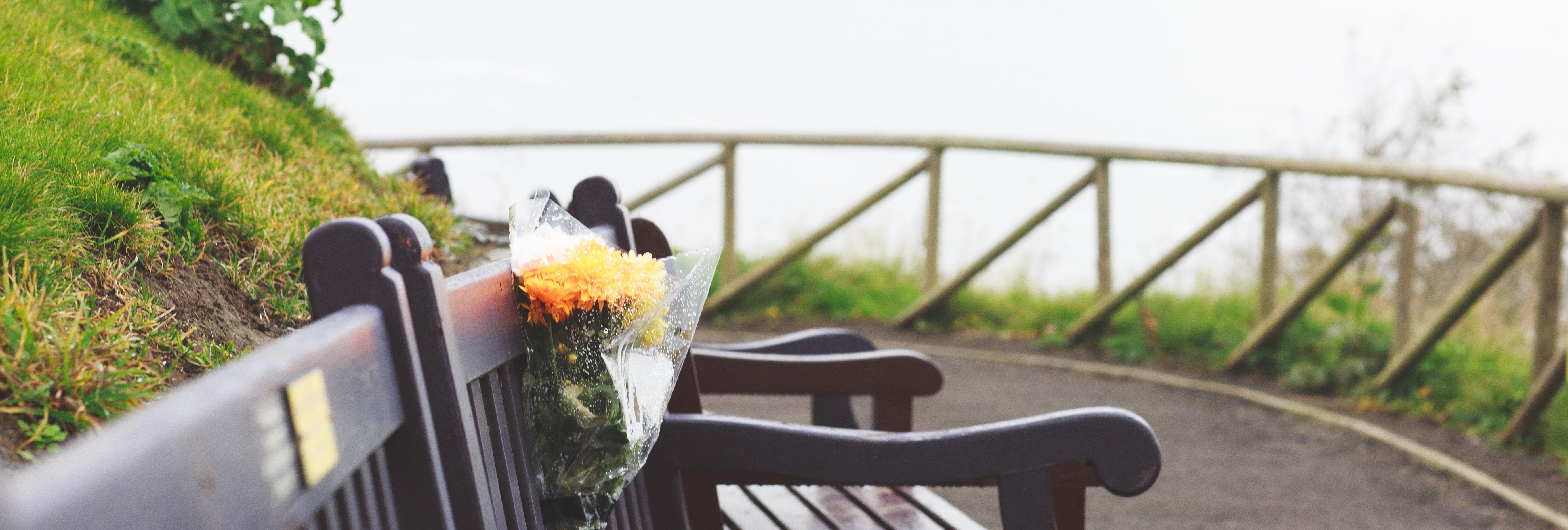 memorial benches on the coastline