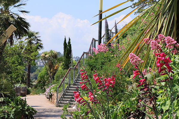 View along Royal Terrace Gardens in Torquay