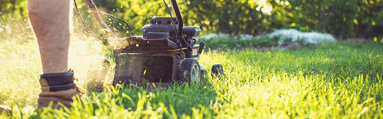 low view of person cutting grass with lawnmower