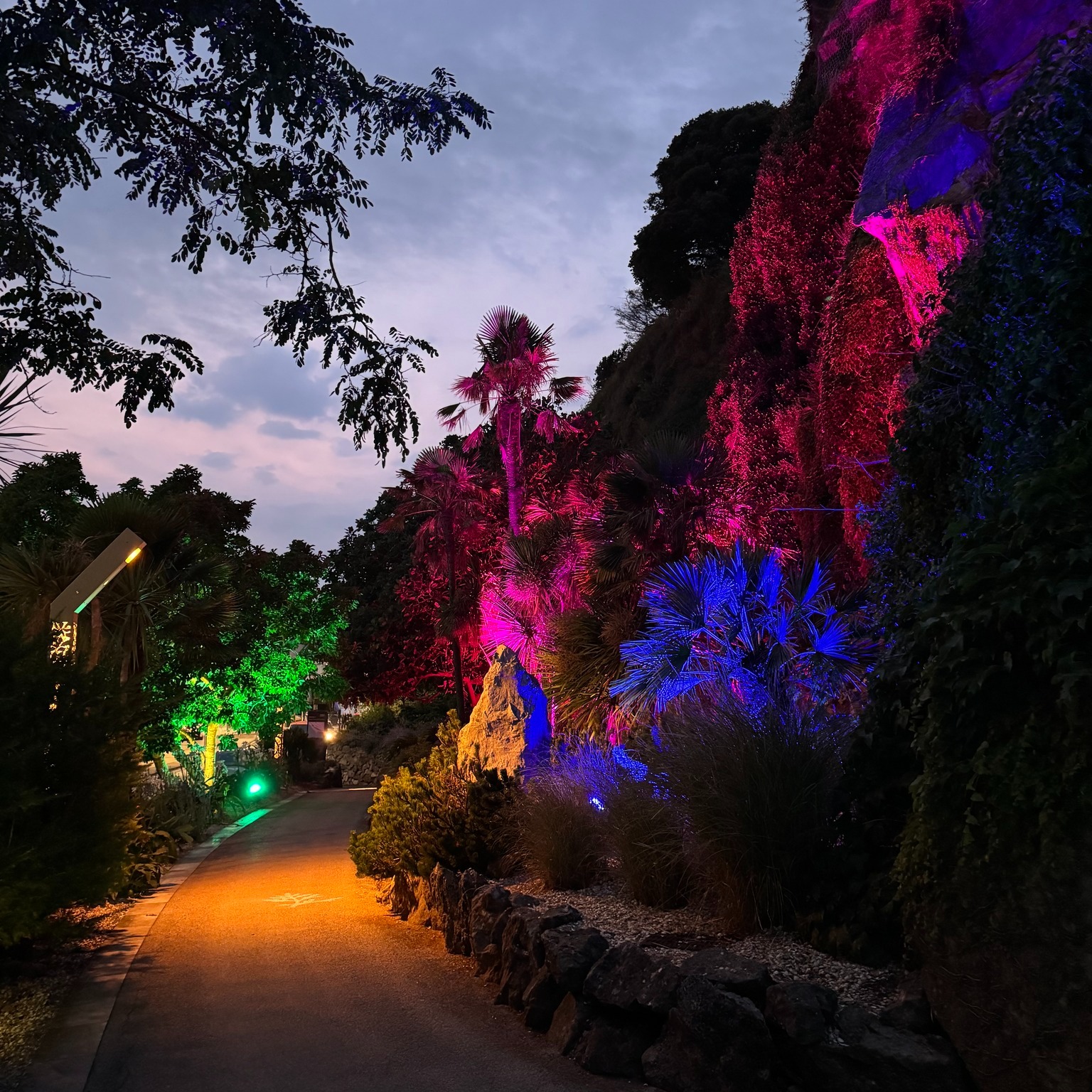 pathway at night in Royal Terrace Gardens, Torquay