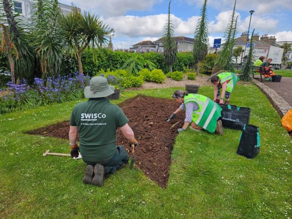volunteers working with SWISCo staff in a Torbay park